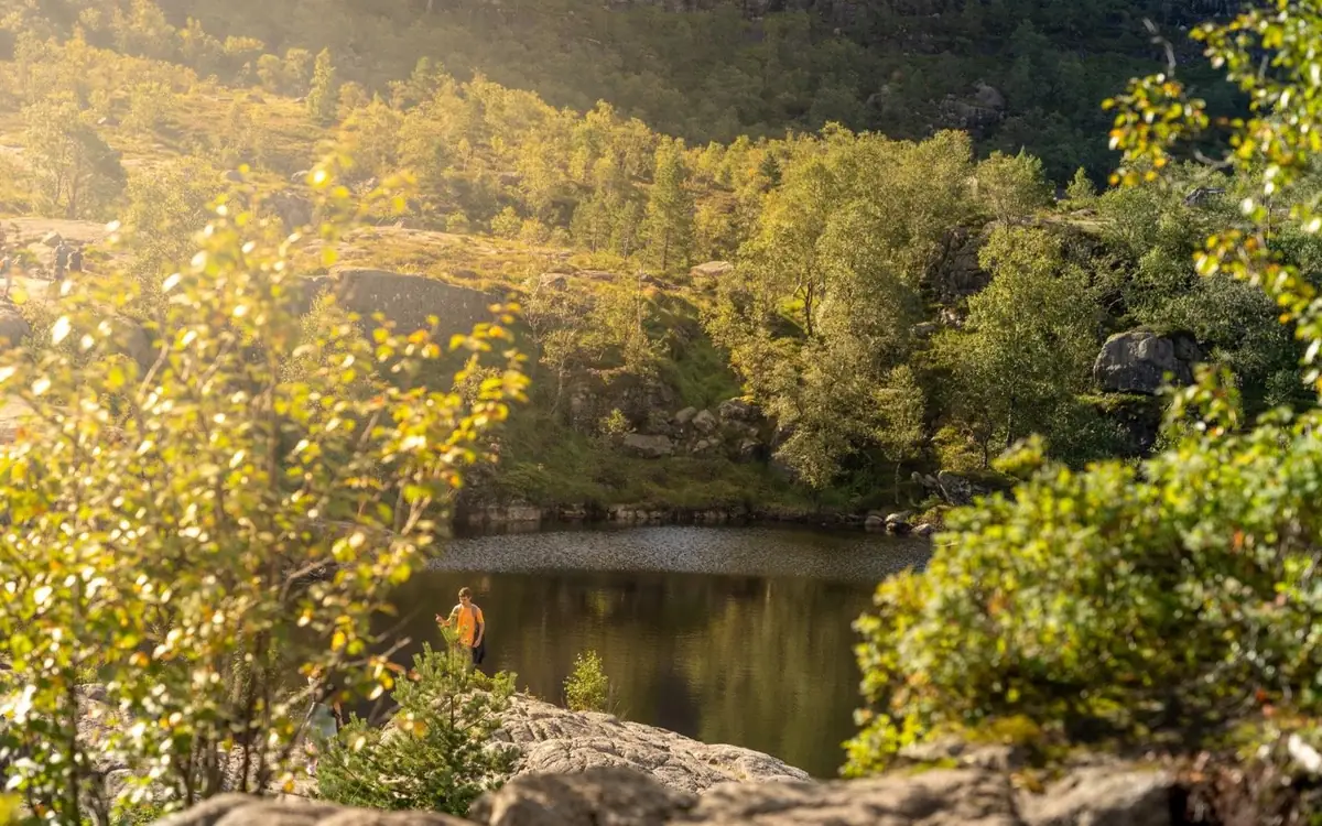 A hiker in orange at the edge of a dark pool below birch and pine in low sun