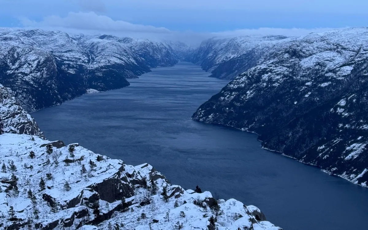 A snowy slope with small pines above dark fjord water between white mountain walls